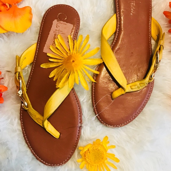 😍 Cole Haan 😍 Flats - Picture 4 of 5